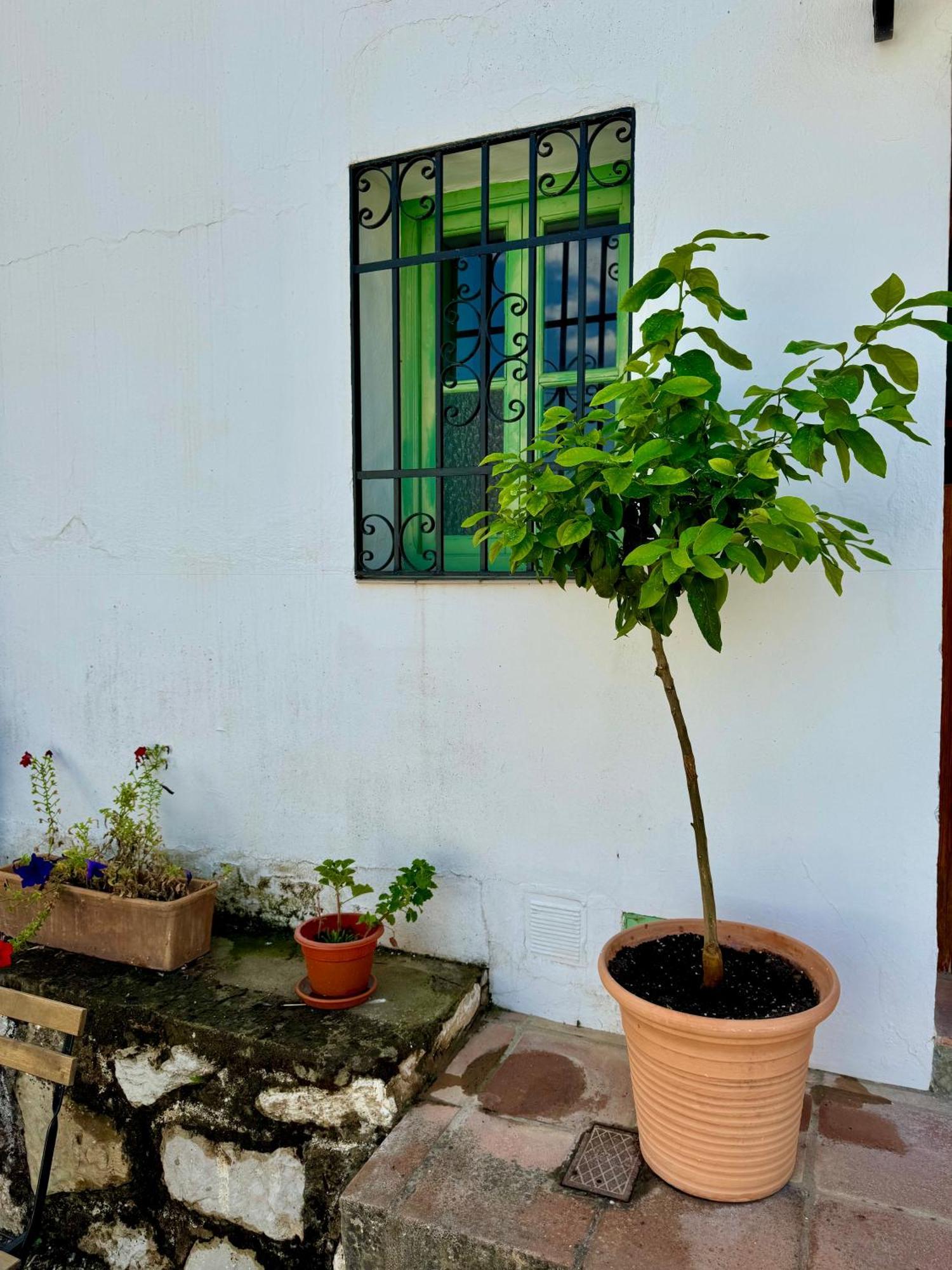 Casa Leon Villa Montejaque Luaran gambar